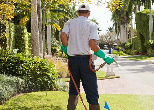 About Dycusburg KY Pest Control Pros